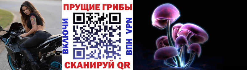 Купить закладки  Гаврилов Посад  Псилоцибиновые грибы MAGIC MUSHROOMS 